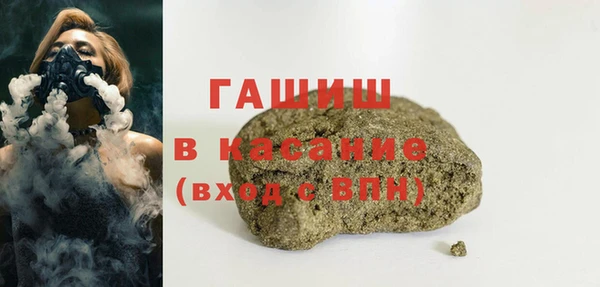 хмурый Аркадак