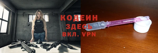 хмурый Аркадак