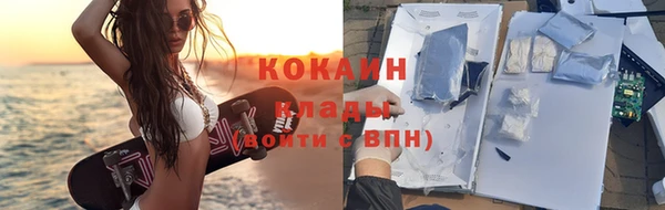хмурый Аркадак