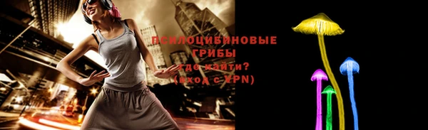 хмурый Аркадак