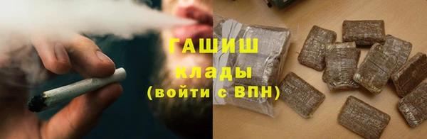 хмурый Аркадак